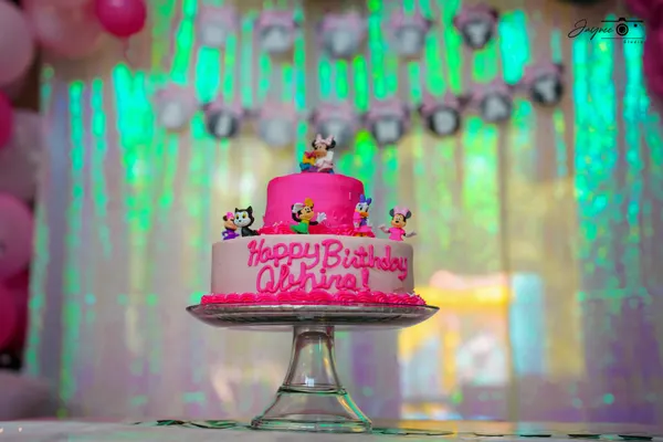 Birthday party photograph 36