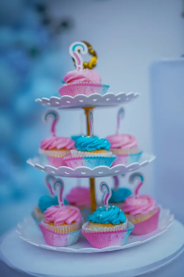 Gender reveal photograph 42