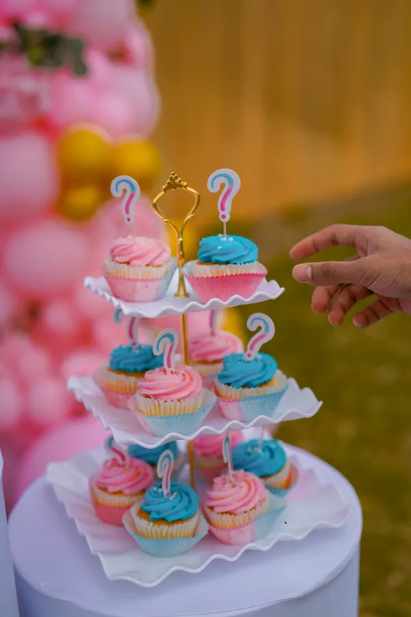 Gender reveal photograph 43