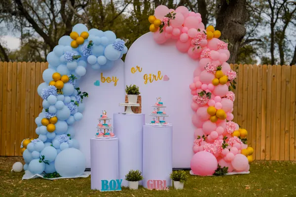 Gender reveal photograph 44