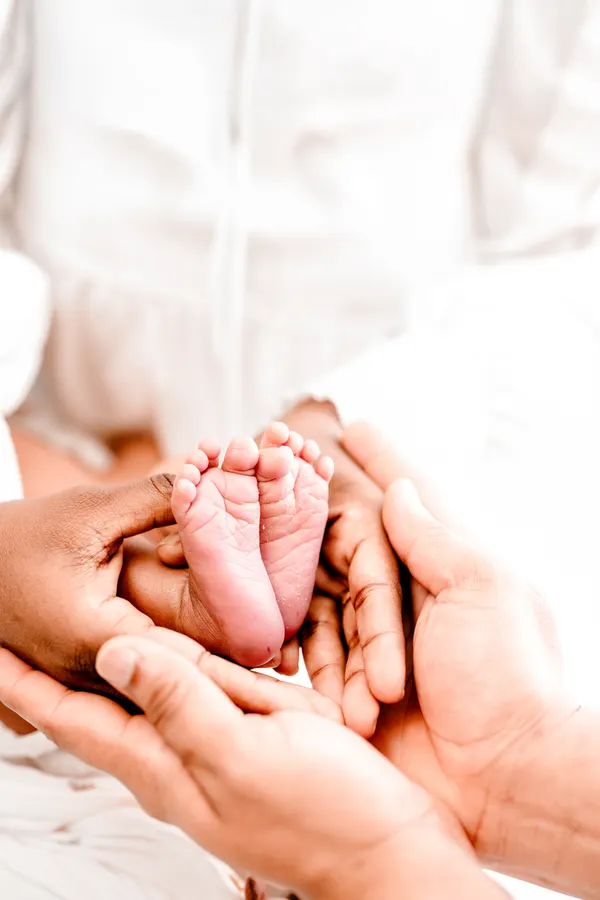 Newborn photography collection